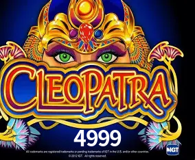4999 Curitiba - Live Status